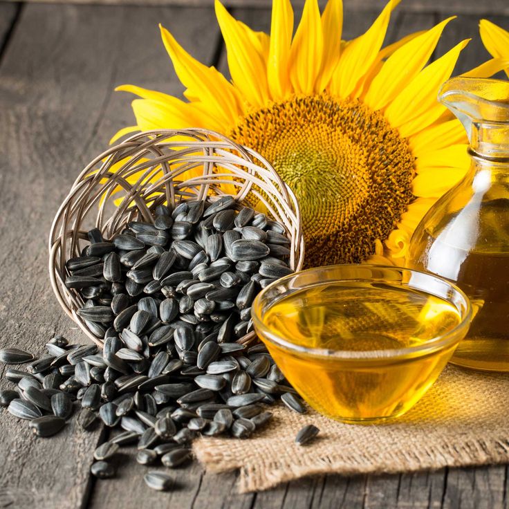 Sunflower Seeds - Riwayat