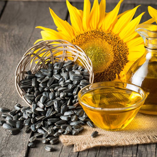 Sunflower Seeds - Riwayat